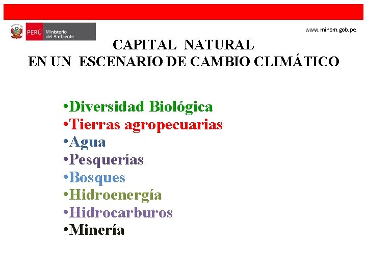 www. minam. gob. pe CAPITAL NATURAL EN UN ESCENARIO DE CAMBIO CLIMÁTICO • Diversidad