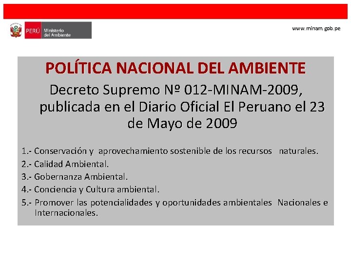 www. minam. gob. pe POLÍTICA NACIONAL DEL AMBIENTE Decreto Supremo Nº 012 -MINAM-2009, publicada