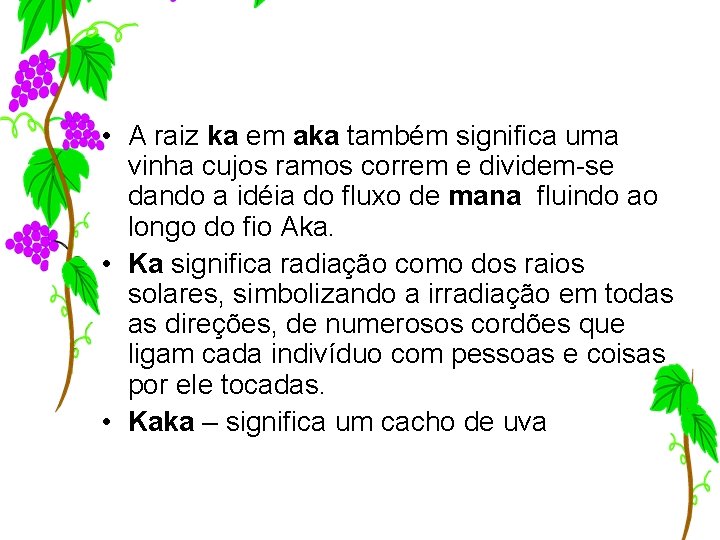  • A raiz ka em aka também significa uma vinha cujos ramos correm