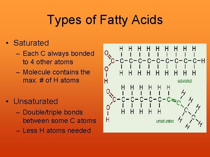 Types of Fatty Acids • Saturated – Each C always bonded to 4 other
