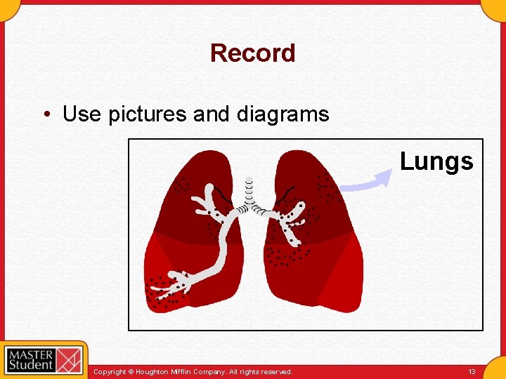 Record • Use pictures and diagrams Lungs Copyright © Houghton Mifflin Company. All rights
