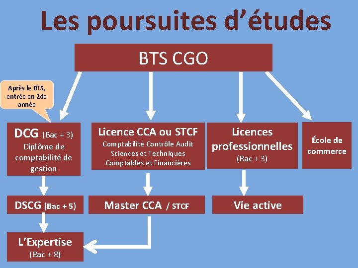 Les poursuites d’études BTS CGO Après le BTS, entrée en 2 de année DCG