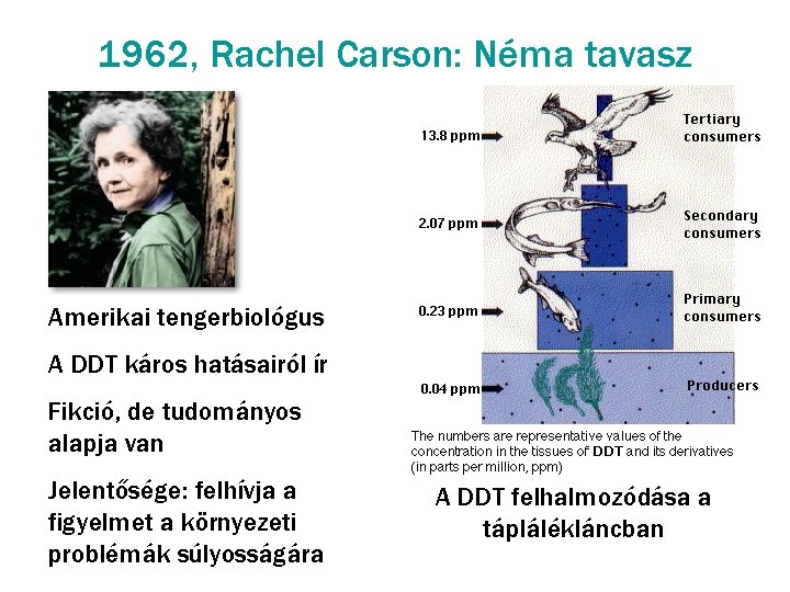 1962, Rachel Carson: Néma tavasz Amerikai tengerbiológus A DDT káros hatásairól ír Fikció, de