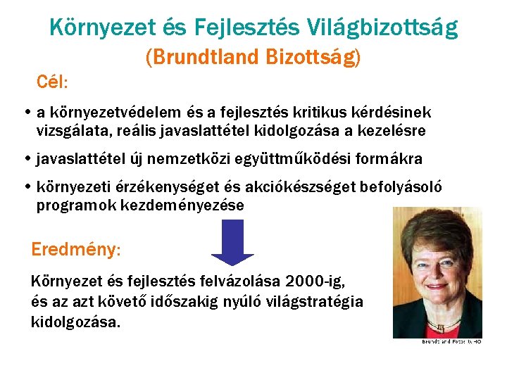 Környezet és Fejlesztés Világbizottság (Brundtland Bizottság) Cél: • a környezetvédelem és a fejlesztés kritikus