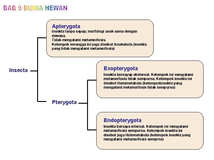 Apterygota Insekta tanpa sayap; morfologi anak sama dengan dewasa. Tidak mengalami metamorfosis. Kelompok serangga