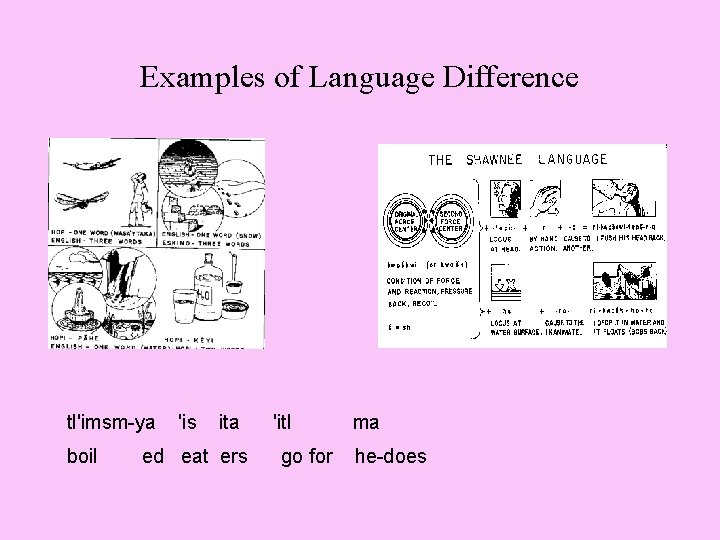 Examples of Language Difference tl'imsm-ya 'is ita 'itl ma boil ed eat ers go