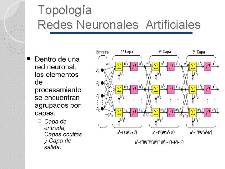 Topología Redes Neuronales Artificiales 