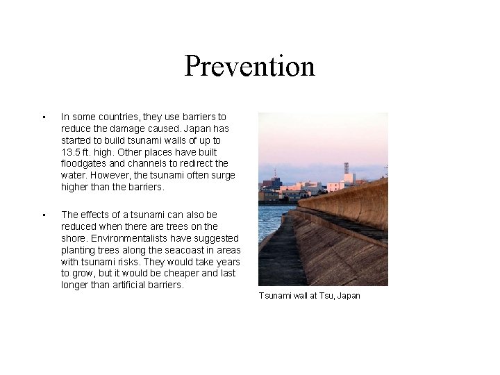 Prevention • In some countries, they use barriers to reduce the damage caused. Japan