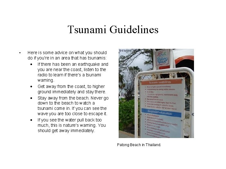 Tsunami Guidelines • Here is some advice on what you should do if you’re