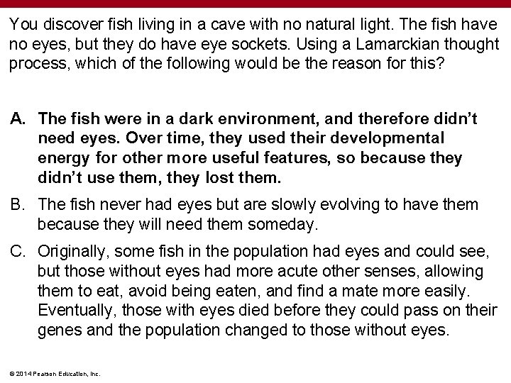 You discover fish living in a cave with no natural light. The fish have