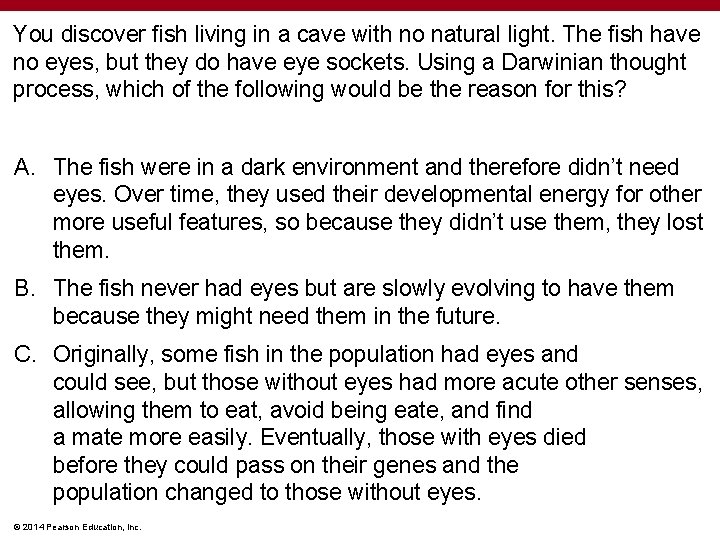 You discover fish living in a cave with no natural light. The fish have