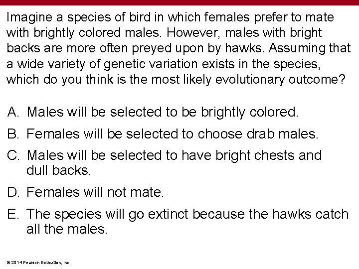 Imagine a species of bird in which females prefer to mate with brightly colored