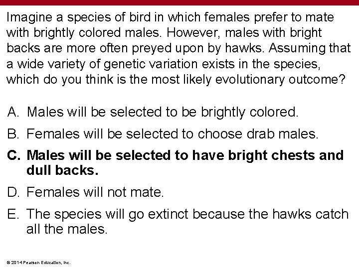Imagine a species of bird in which females prefer to mate with brightly colored