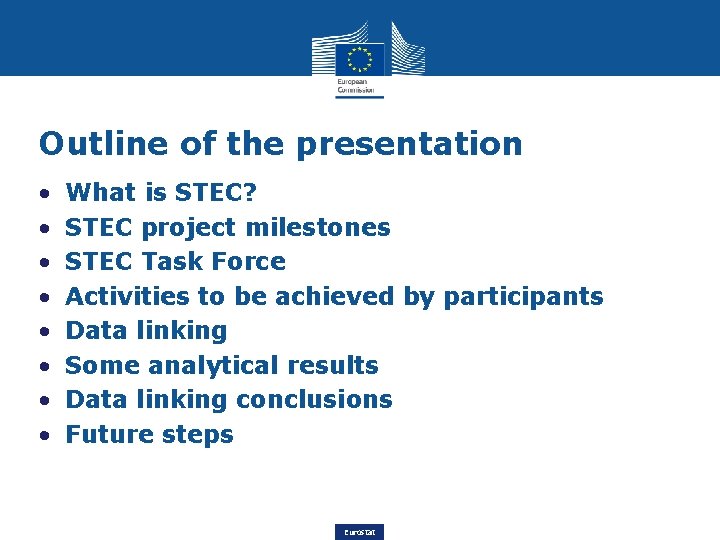Outline of the presentation • • What is STEC? STEC project milestones STEC Task
