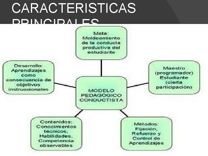 CARACTERISTICAS PRINCIPALES 