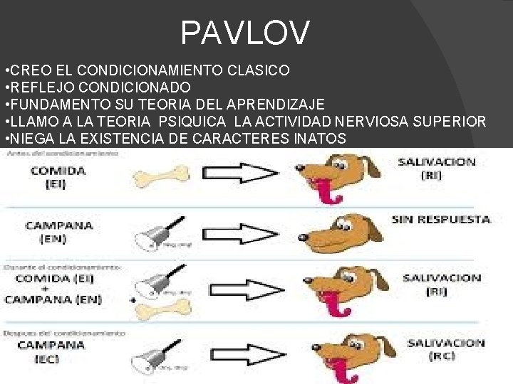 PAVLOV • CREO EL CONDICIONAMIENTO CLASICO • REFLEJO CONDICIONADO • FUNDAMENTO SU TEORIA DEL