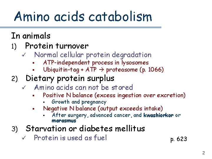 Amino acids catabolism In animals 1) Protein turnover ü Normal cellular protein degradation §