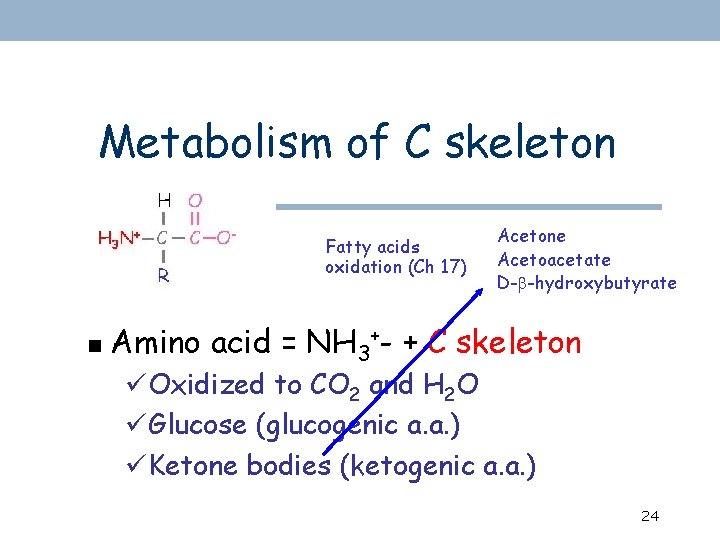 Metabolism of C skeleton Fatty acids oxidation (Ch 17) n Acetone Acetoacetate D-b-hydroxybutyrate Amino