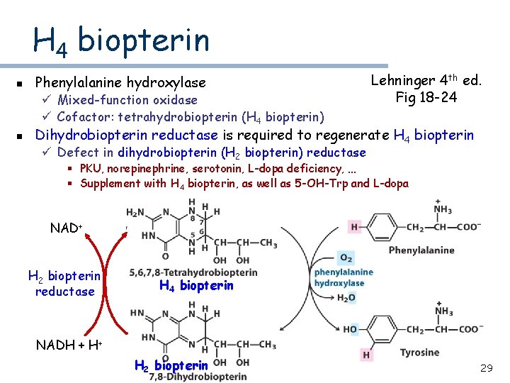 H 4 biopterin n Phenylalanine hydroxylase ü Mixed-function oxidase ü Cofactor: tetrahydrobiopterin (H 4