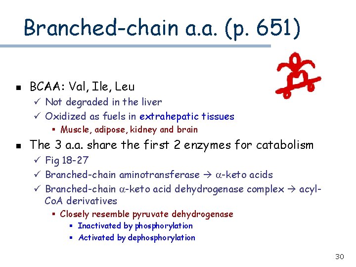 Branched-chain a. a. (p. 651) n BCAA: Val, Ile, Leu ü Not degraded in