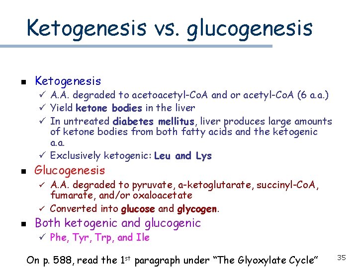 Ketogenesis vs. glucogenesis n Ketogenesis ü A. A. degraded to acetoacetyl-Co. A and or
