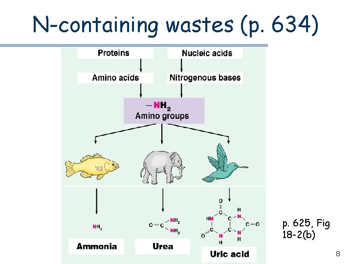 N-containing wastes (p. 634) p. 625, Fig 18 -2(b) 8 