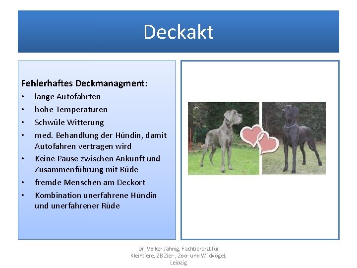 Deckakt Fehlerhaftes Deckmanagment: • • lange Autofahrten hohe Temperaturen Schwüle Witterung med. Behandlung der