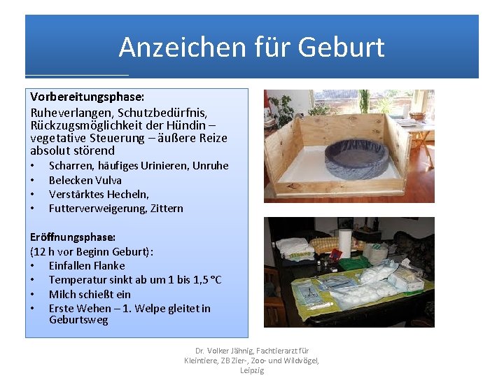 Anzeichen für Geburt Vorbereitungsphase: Ruheverlangen, Schutzbedürfnis, Rückzugsmöglichkeit der Hündin – vegetative Steuerung – äußere