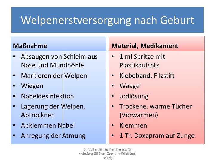 Welpenerstversorgung nach Geburt Maßnahme Material, Medikament • Absaugen von Schleim aus Nase und Mundhöhle