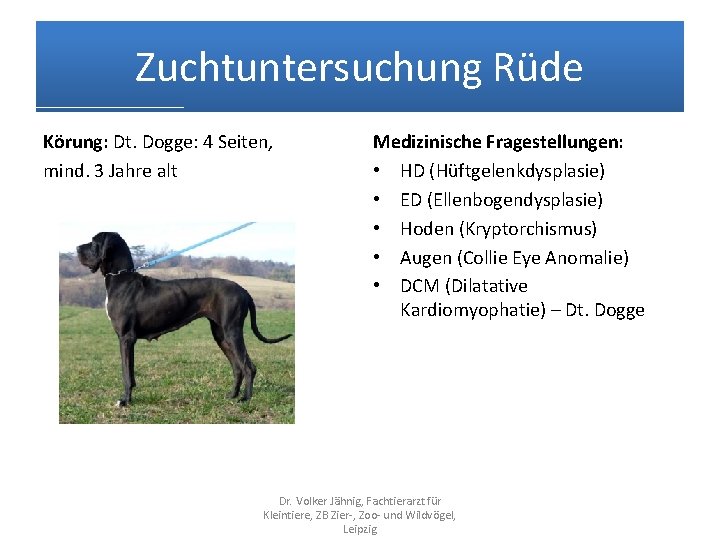 Zuchtuntersuchung Rüde Körung: Dt. Dogge: 4 Seiten, mind. 3 Jahre alt Medizinische Fragestellungen: •