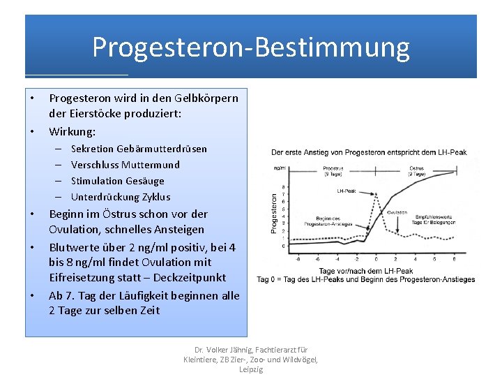 Progesteron-Bestimmung • • Progesteron wird in den Gelbkörpern der Eierstöcke produziert: Wirkung: – –