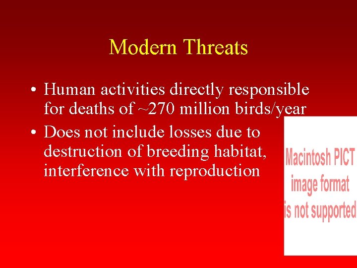 Modern Threats • Human activities directly responsible for deaths of ~270 million birds/year •