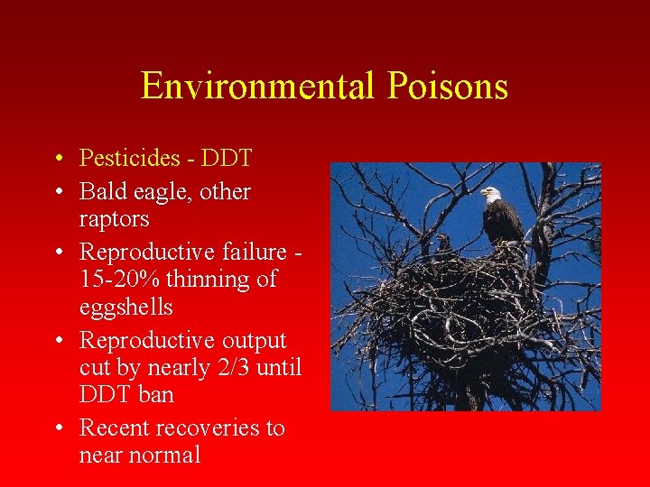 Environmental Poisons • Pesticides - DDT • Bald eagle, other raptors • Reproductive failure