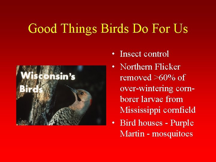 Good Things Birds Do For Us • Insect control • Northern Flicker removed >60%