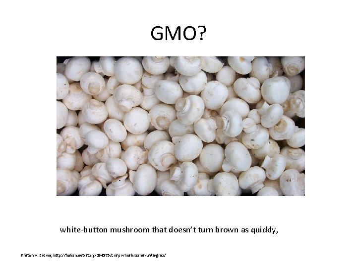 GMO? white-button mushroom that doesn’t turn brown as quickly, Kristen V. Brown; http: //fusion.