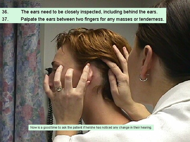 36. The ears need to be closely inspected, including behind the ears. 37. Palpate