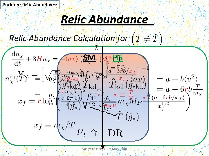 Back-up: Relic Abundance Calculation for SM HS Sungwoo Hong (U of Maryland) 24 