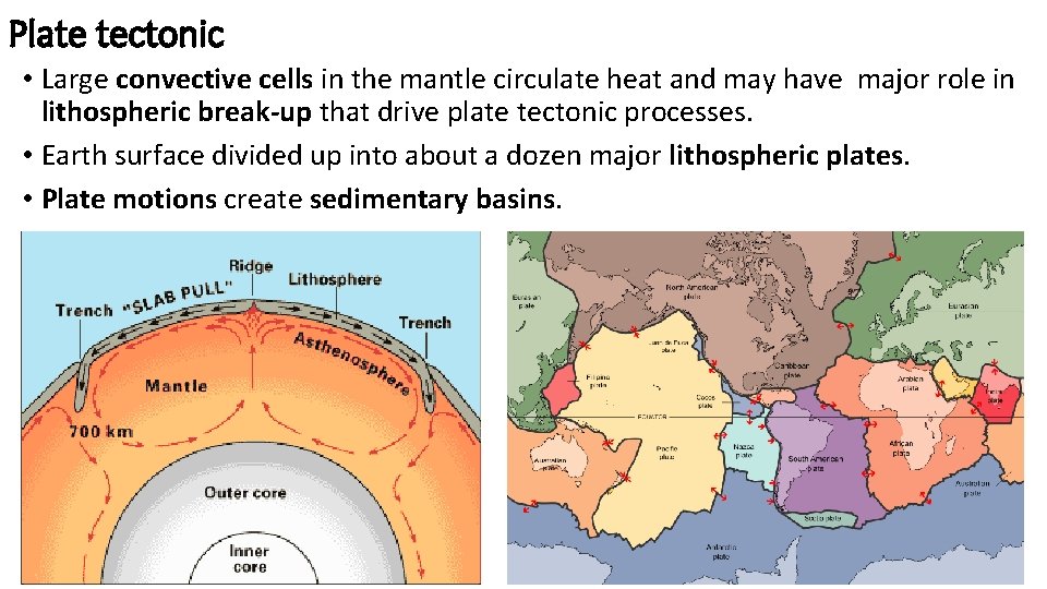 Plate tectonic • Large convective cells in the mantle circulate heat and may have Plate tectonic • Large convective cells in the mantle circulate heat and may have