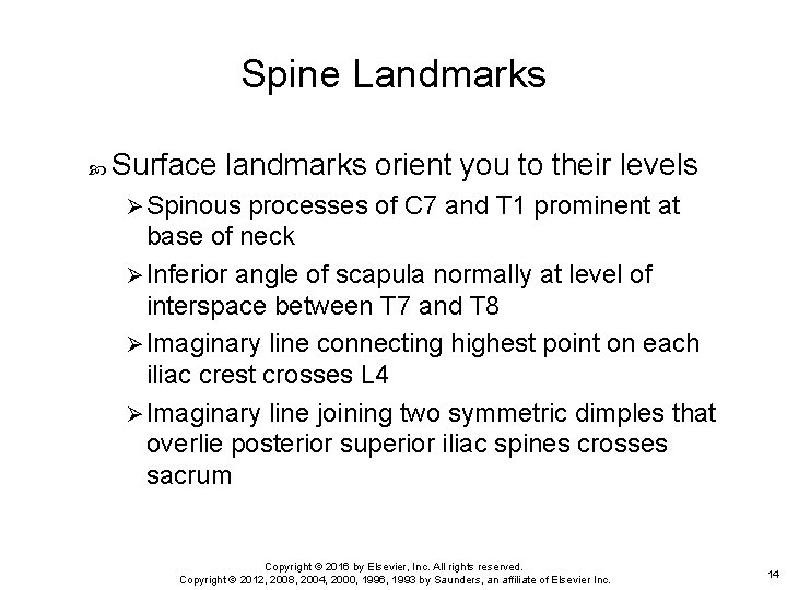 Spine Landmarks Surface landmarks orient you to their levels Ø Spinous processes of C