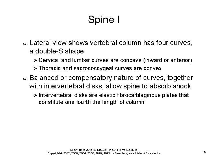 Spine I Lateral view shows vertebral column has four curves, a double-S shape Ø