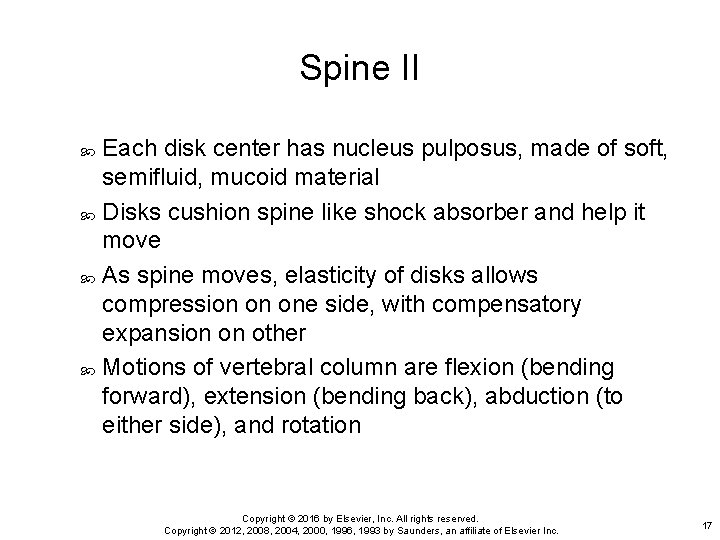 Spine II Each disk center has nucleus pulposus, made of soft, semifluid, mucoid material