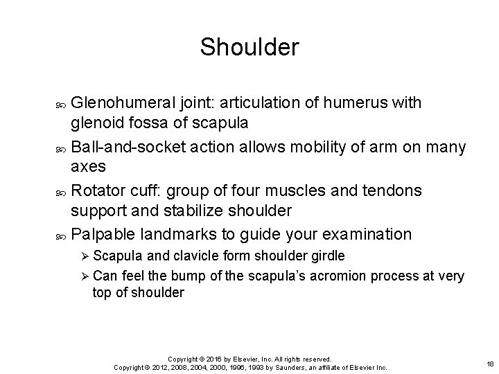 Shoulder Glenohumeral joint: articulation of humerus with glenoid fossa of scapula Ball-and-socket action allows