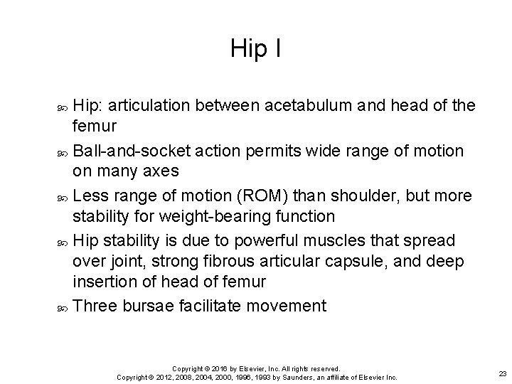 Hip I Hip: articulation between acetabulum and head of the femur Ball-and-socket action permits