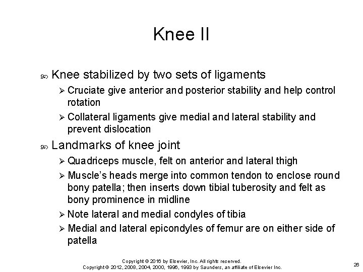 Knee II Knee stabilized by two sets of ligaments Ø Cruciate give anterior and