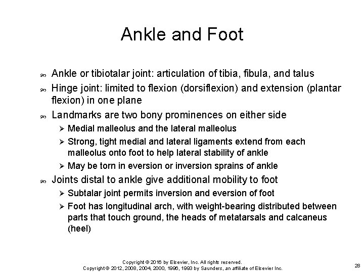 Ankle and Foot Ankle or tibiotalar joint: articulation of tibia, fibula, and talus Hinge