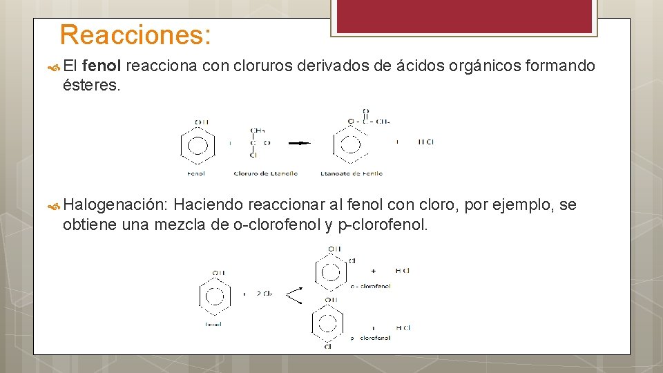 Reacciones: El fenol reacciona con cloruros derivados de ácidos orgánicos formando ésteres. Halogenación: Haciendo