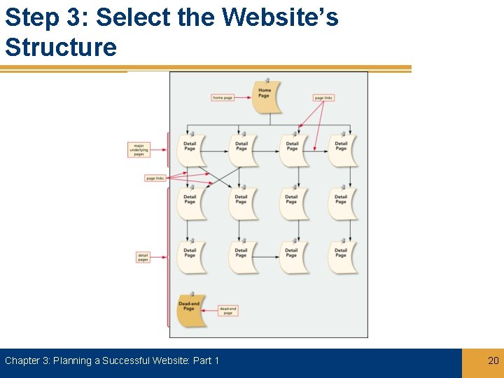 Step 3: Select the Website’s Structure Chapter 3: Planning a Successful Website: Part 1