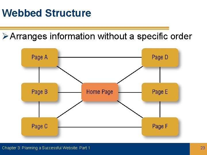 Webbed Structure Ø Arranges information without a specific order Chapter 3: Planning a Successful