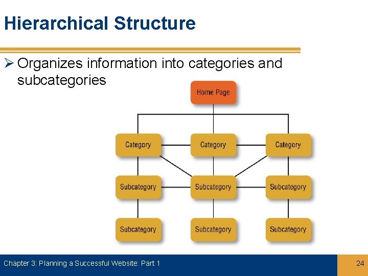 Hierarchical Structure Ø Organizes information into categories and subcategories Chapter 3: Planning a Successful