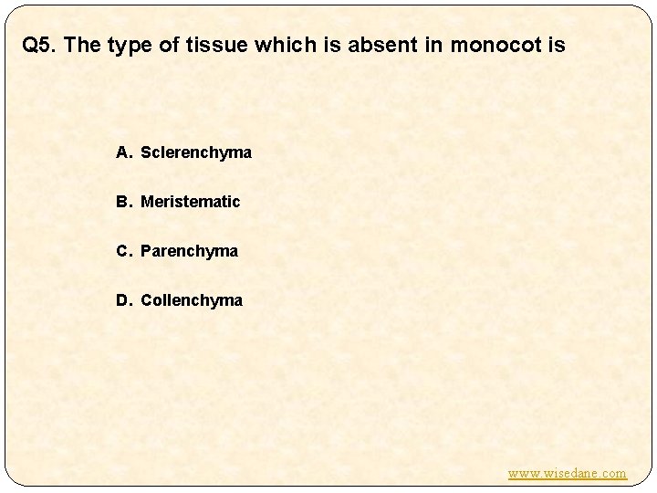 Q 5. The type of tissue which is absent in monocot is A. Sclerenchyma